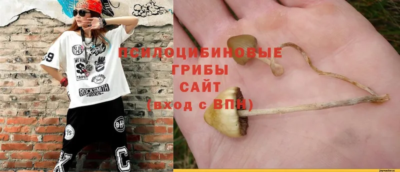 как найти   Верхний Уфалей  это какой сайт  Галлюциногенные грибы MAGIC MUSHROOMS 